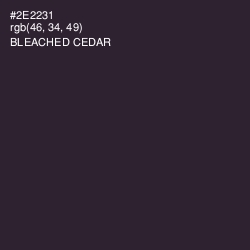 #2E2231 - Bleached Cedar Color Image